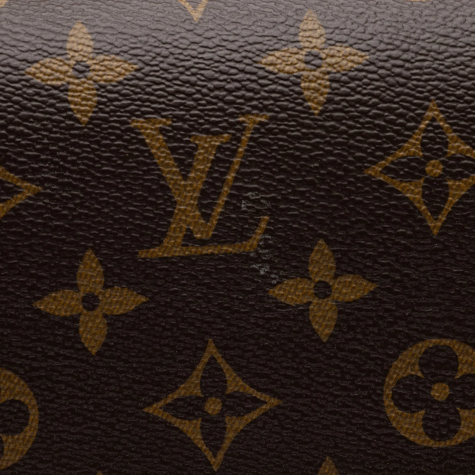 Louis Vuitton Monogram Canvas Flower Hobo (SHF-3DsKdp)