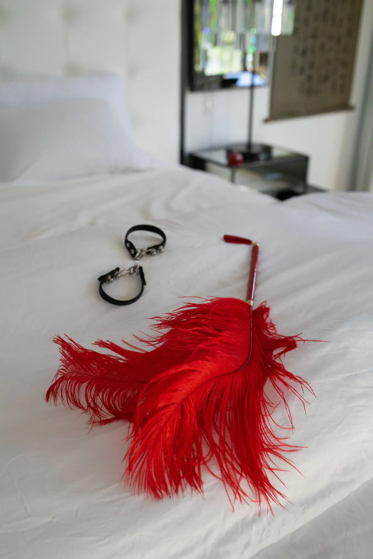 Red Ostrich Feather Teaser