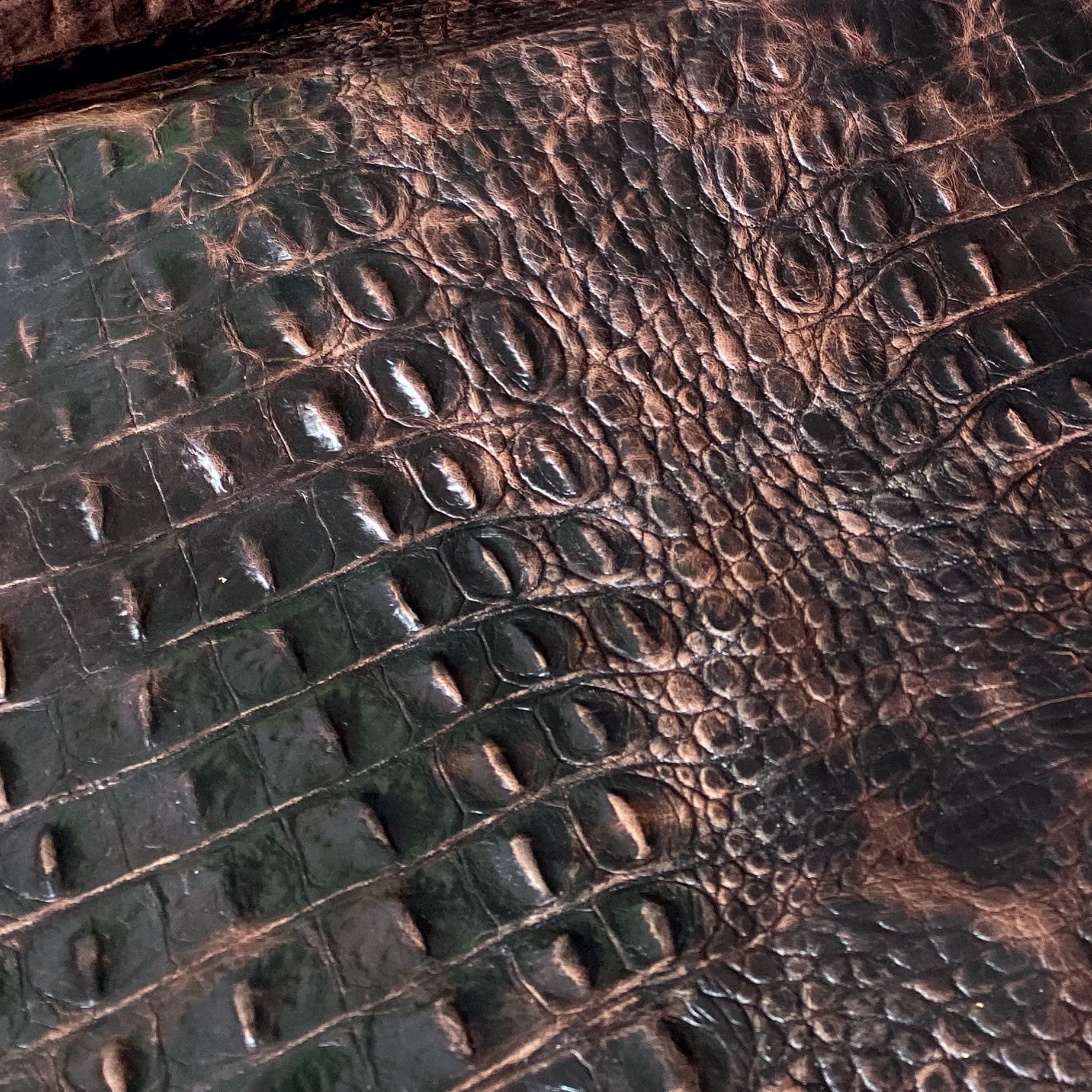Swatch - Badlands Crocodile Embossed