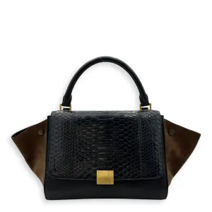 Trapeze Top handle Bag Small Multi-colour in Calfskin , Gold Hardware